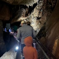 Gunns Plains Caves: All You Need to Know BEFORE You Go