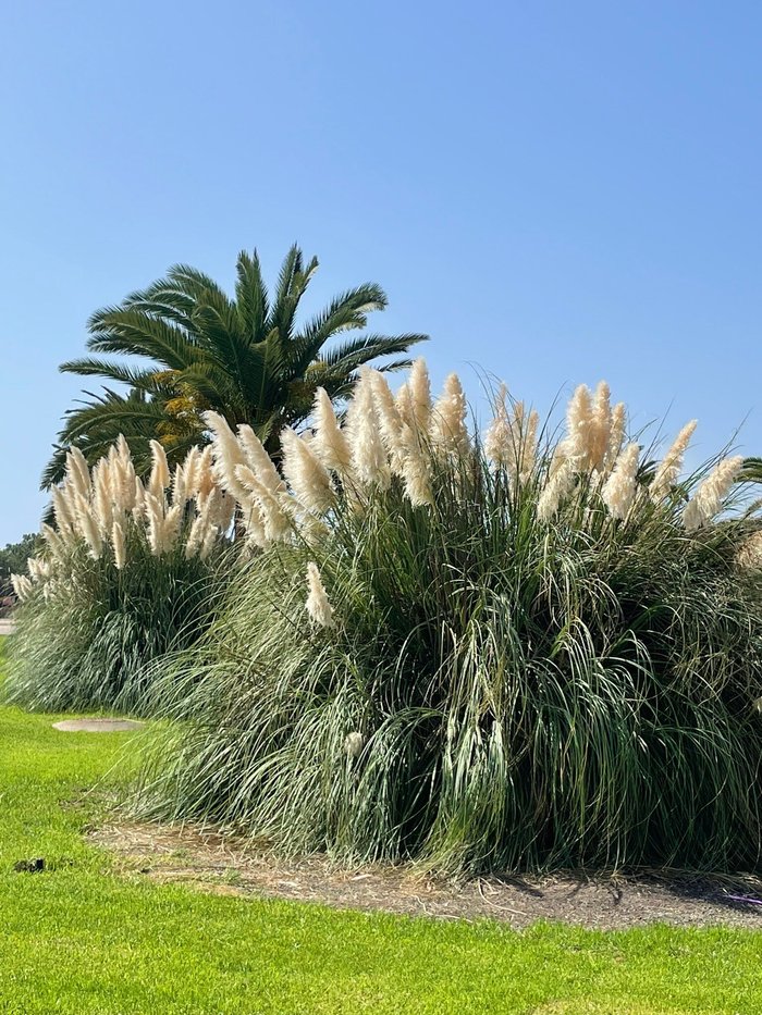 Imagen 9 de Parque Urbano del Sur