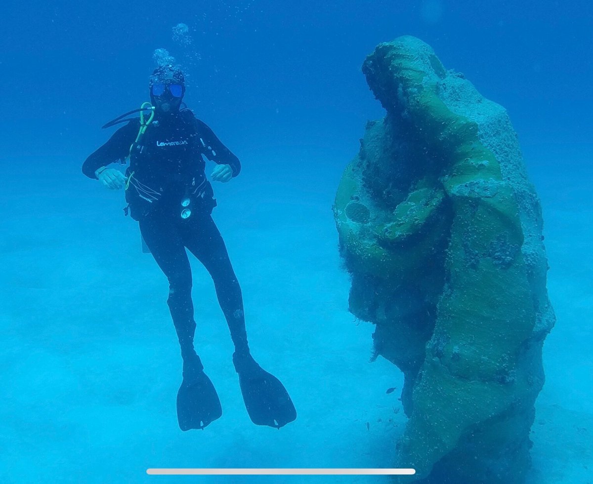 pro dive mexico playa del carmen