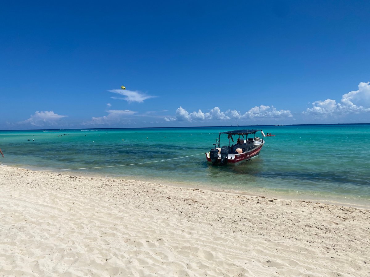 prodive playa del carmen