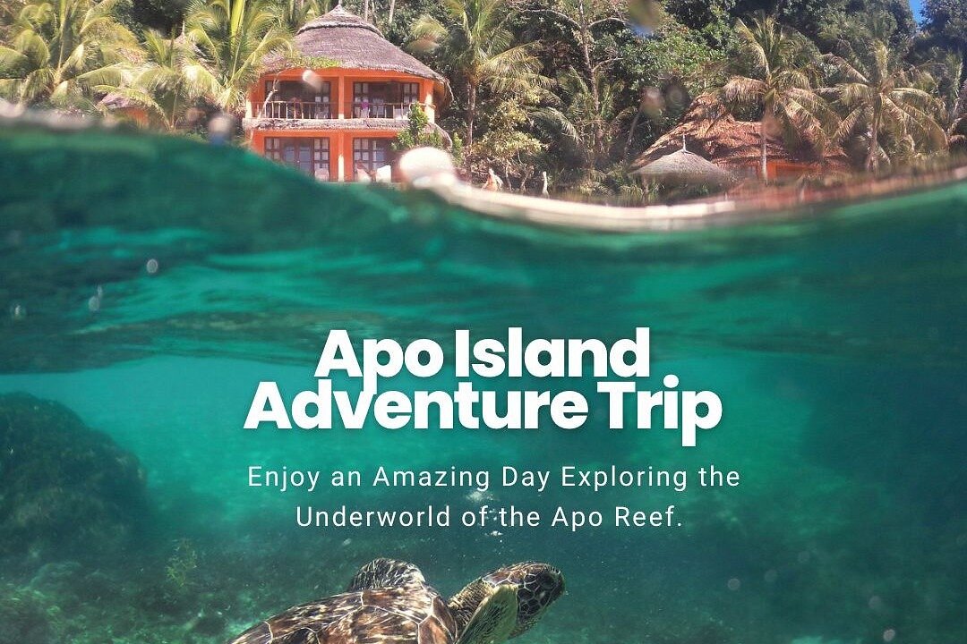apo island tour package 2023