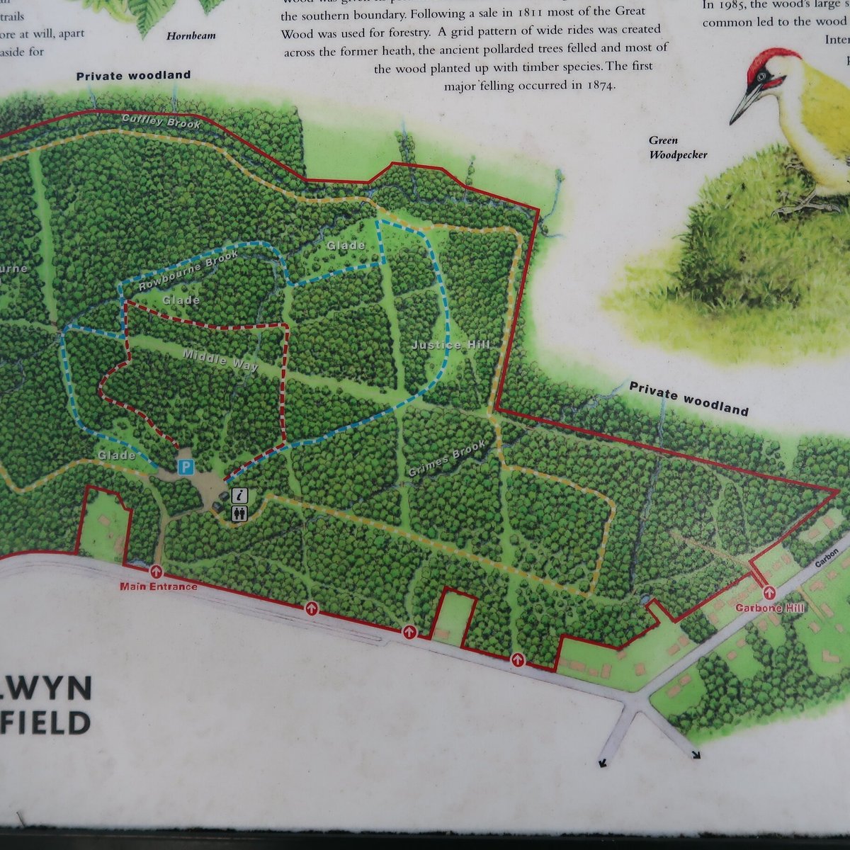 NORTHAW GREAT WOOD (Cuffley) - All You Need to Know BEFORE You Go