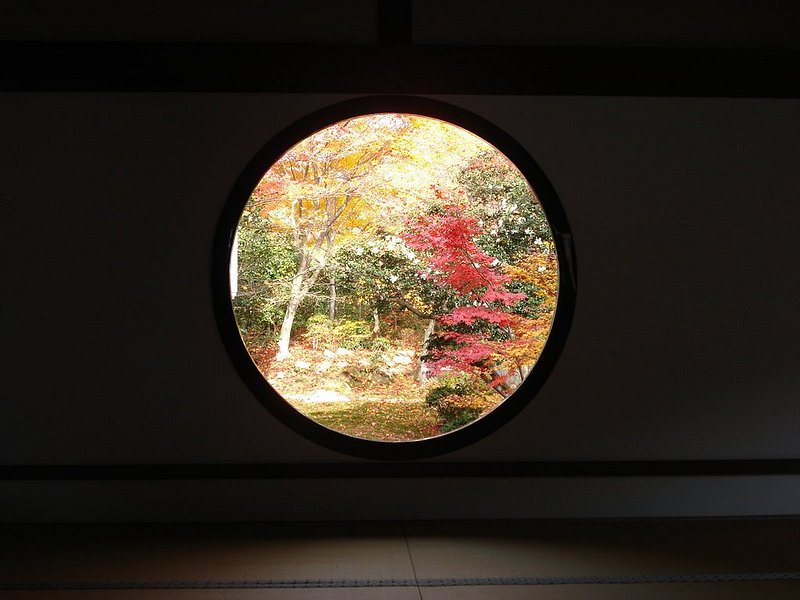 View of fall trees from 源光庵