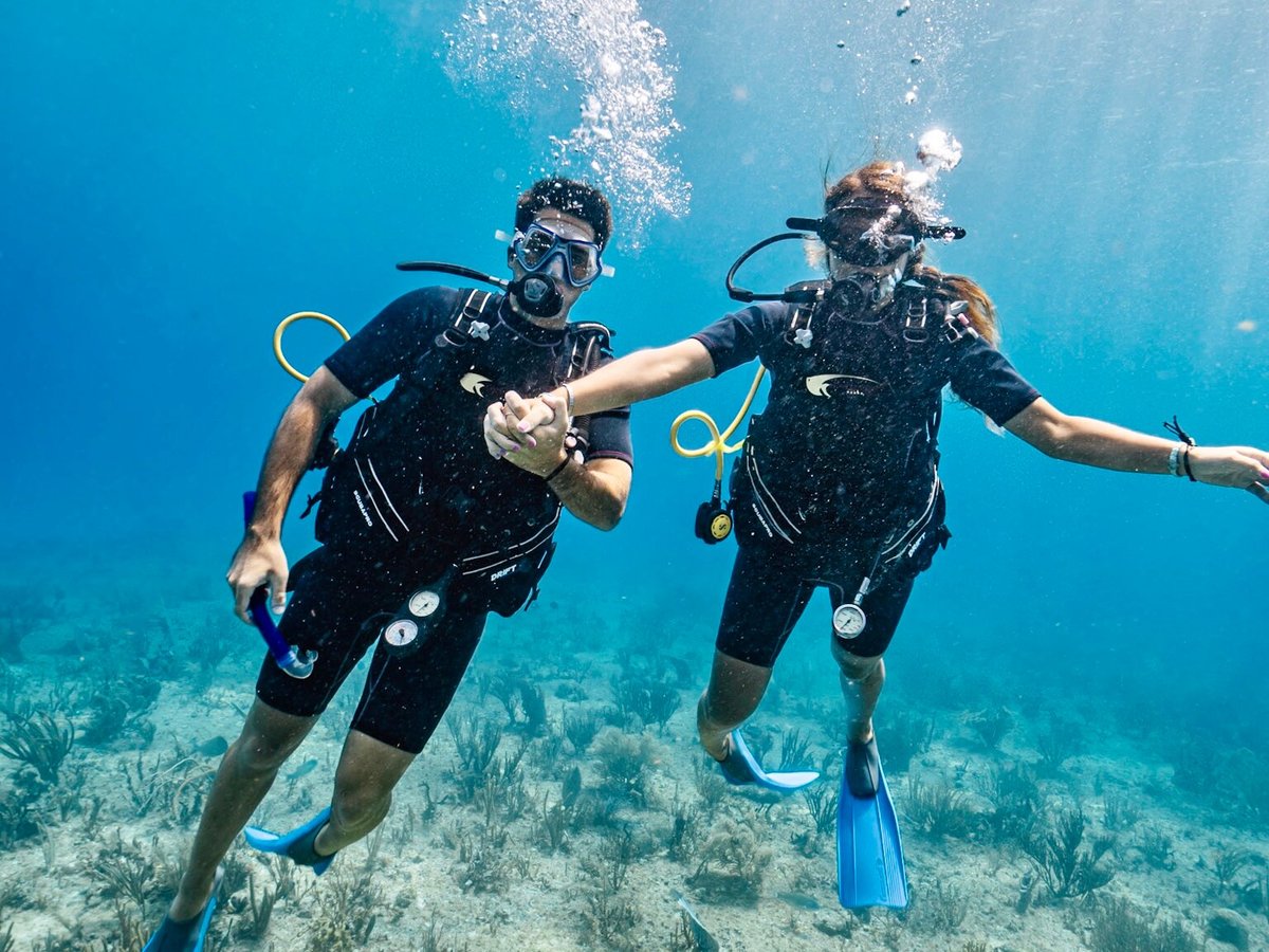 pro dive mexico playa del carmen