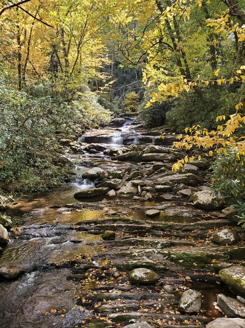 Great Smoky Mountains National Park review images