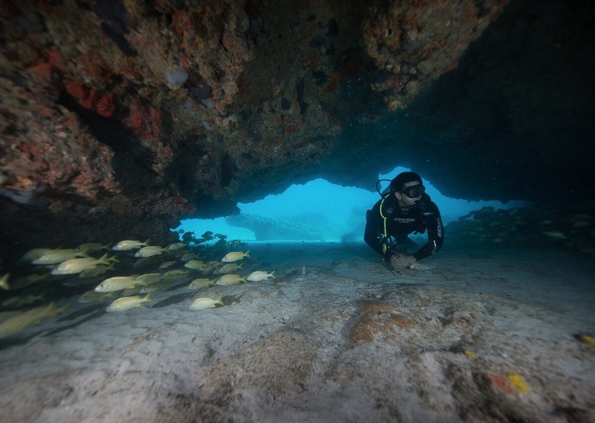 solo buceo dive shop cancun