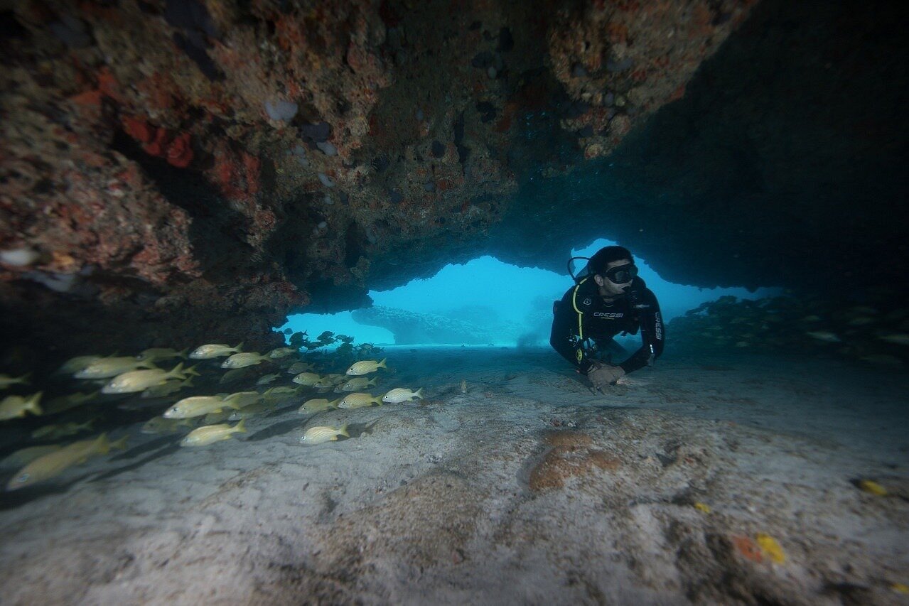 best dive shop in cancun