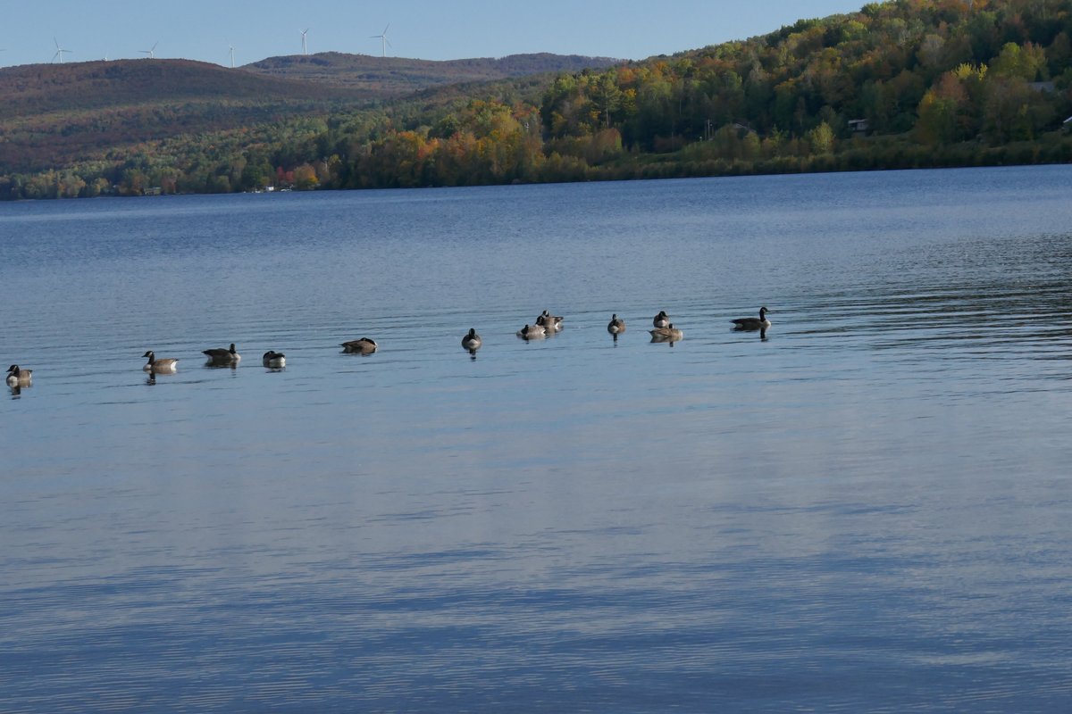 Escape to Crystal Lake State Park: A Nature Lover's Paradise