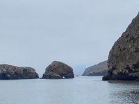 Santa Cruz Island (channel Islands National Park) - All You Need To 