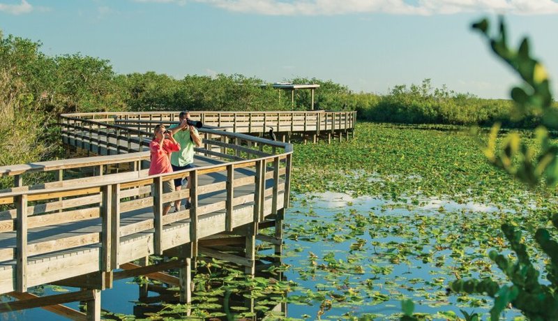 Explore Paradise in All Five Keys | Tripadvisor x Florida Keys