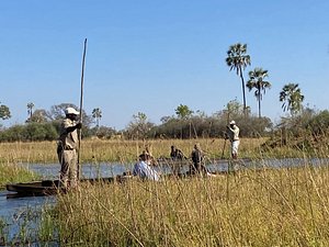 Amber River Camp - Okavango Hidden Gems in Maun