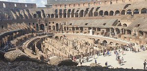 Excursão para grupos pequenos do Coliseu com entrada pela Arena:  experiência oferecida por Colosseum and Vatican Tours by Italy Wonders