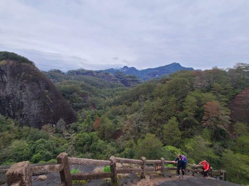 Wuyi Shan review images