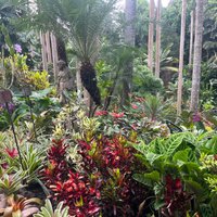 HUNTE'S GARDENS (Saint Joseph Parish) - All You Need to Know BEFORE You Go