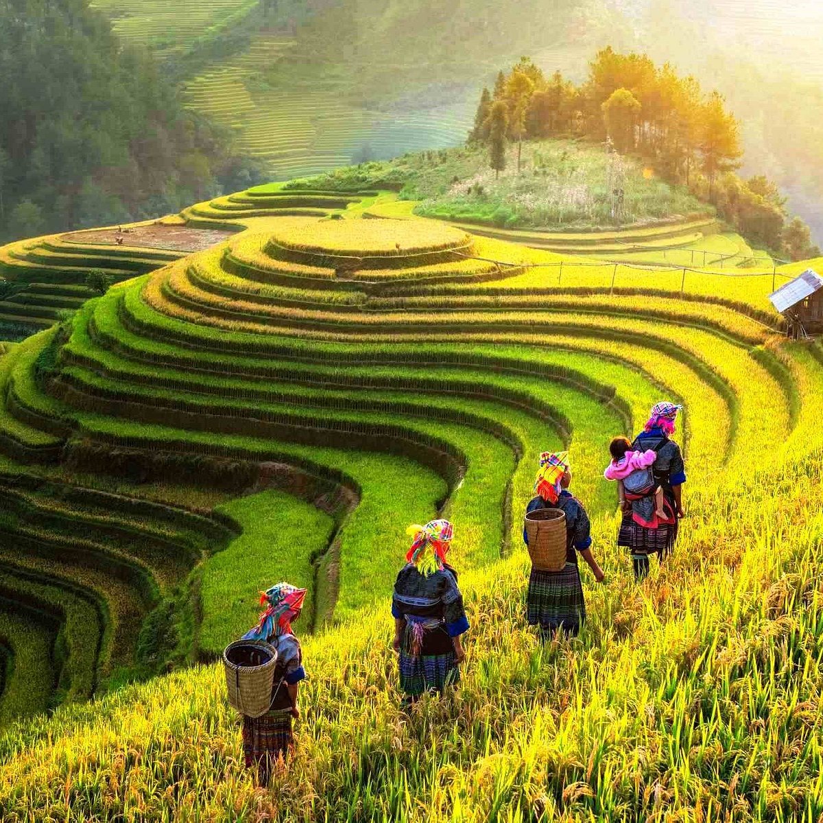 Sapa Group Tours from Hanoi Lohnt es sich? Aktuell für 2024 (Mit fotos)