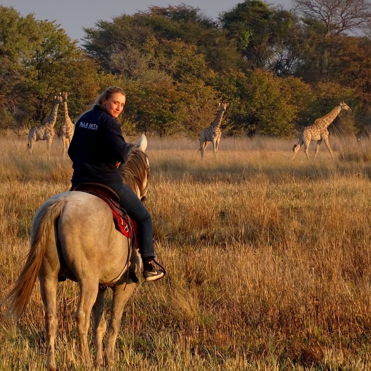 Zambian Horseback Safaris (Livingstone, Zambia): Address, Phone Number