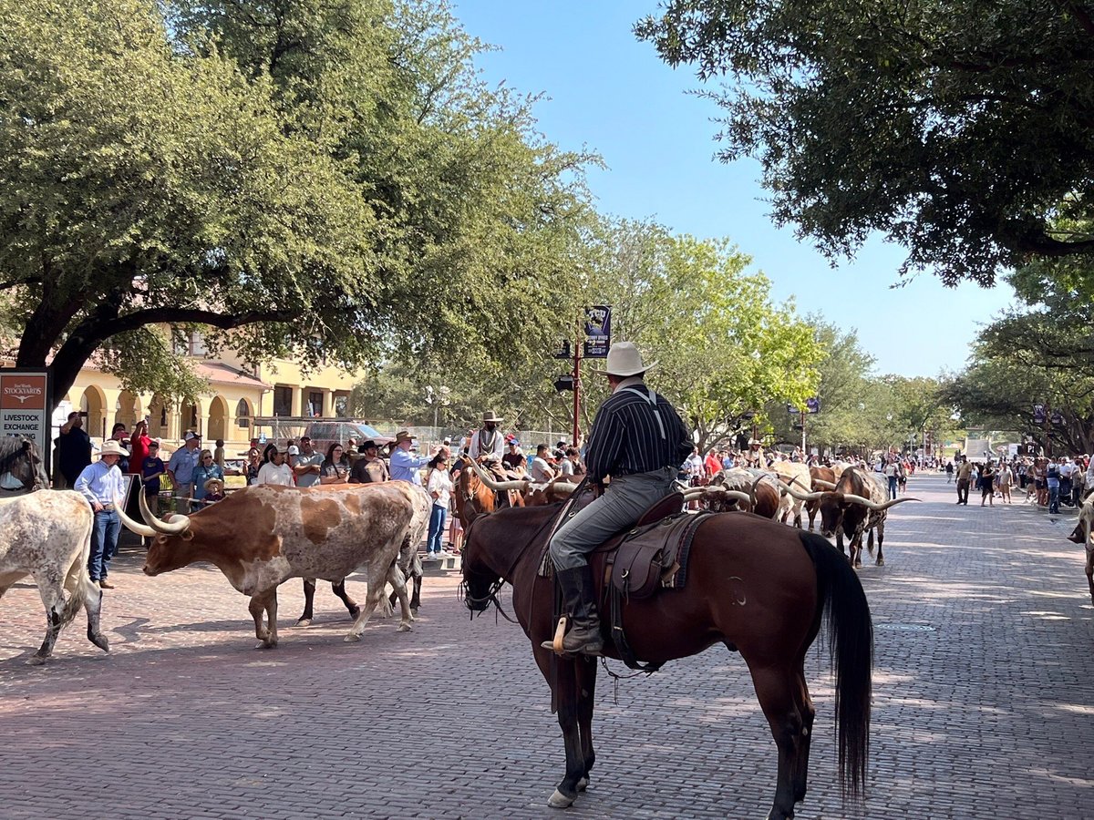 Fort Worth Tours - All You Need to Know BEFORE You Go (2025)