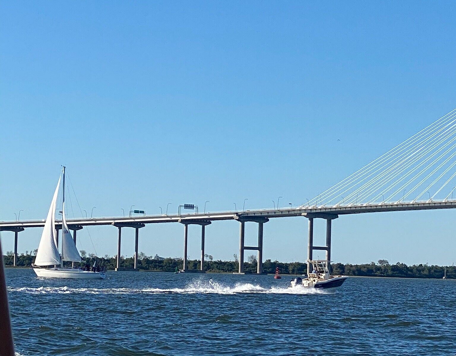 charleston yacht