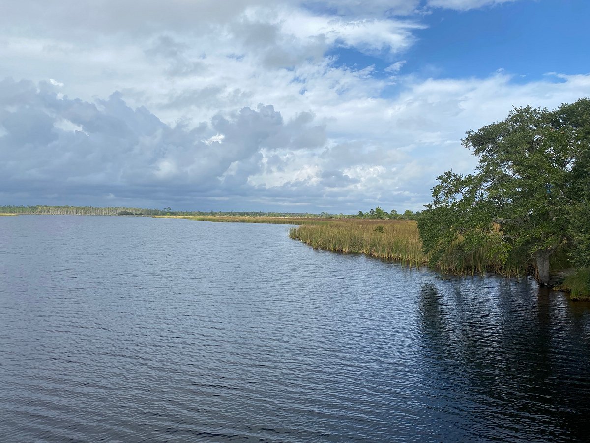 Coastal Segway Adventures (Gulf Shores) - All You Need to Know BEFORE ...