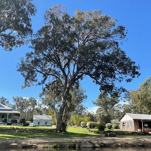 Diamondvale Cottages as viewed from the banks of Quart Pot Creek