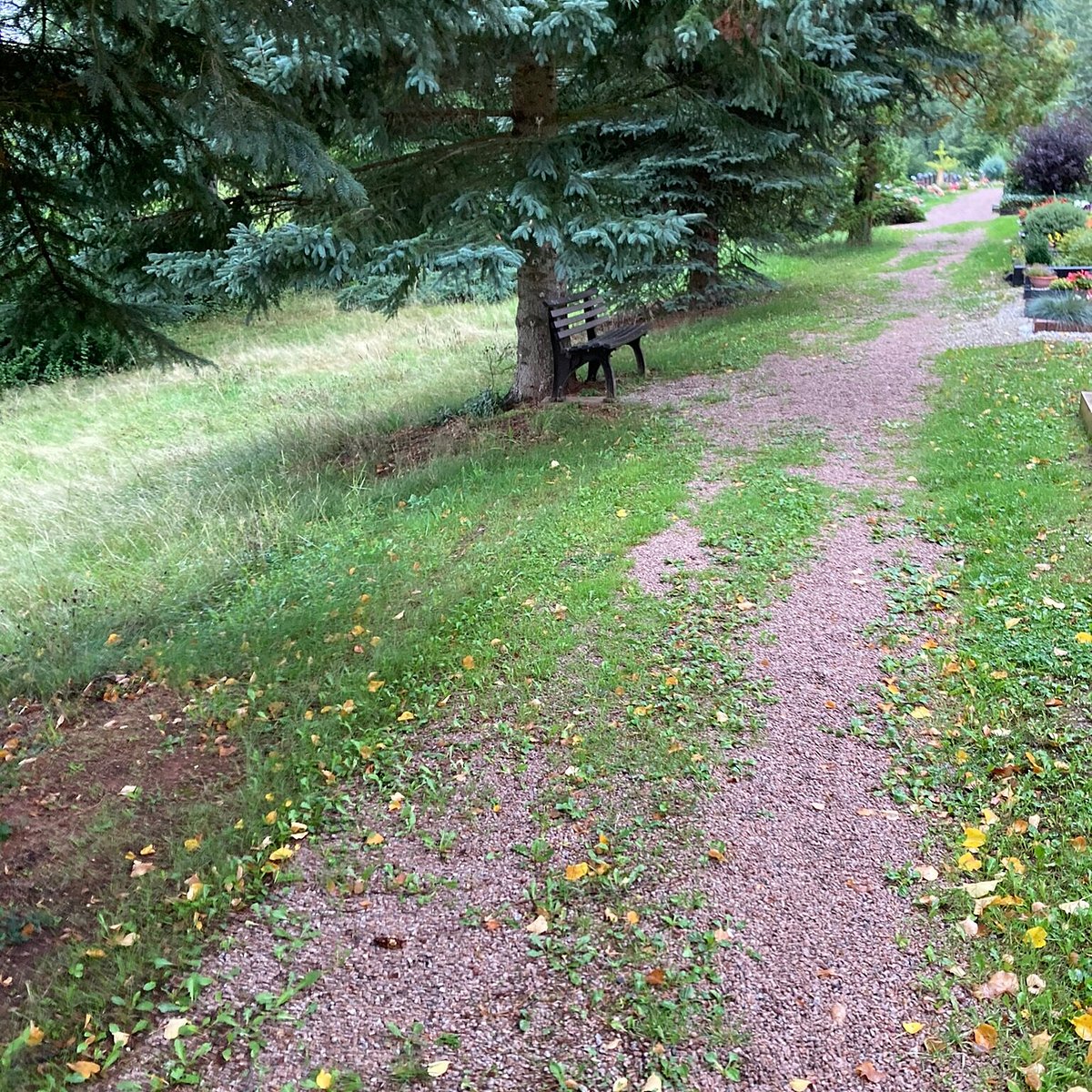 FRIEDHOF REINSDORF All You Need to Know BEFORE You Go