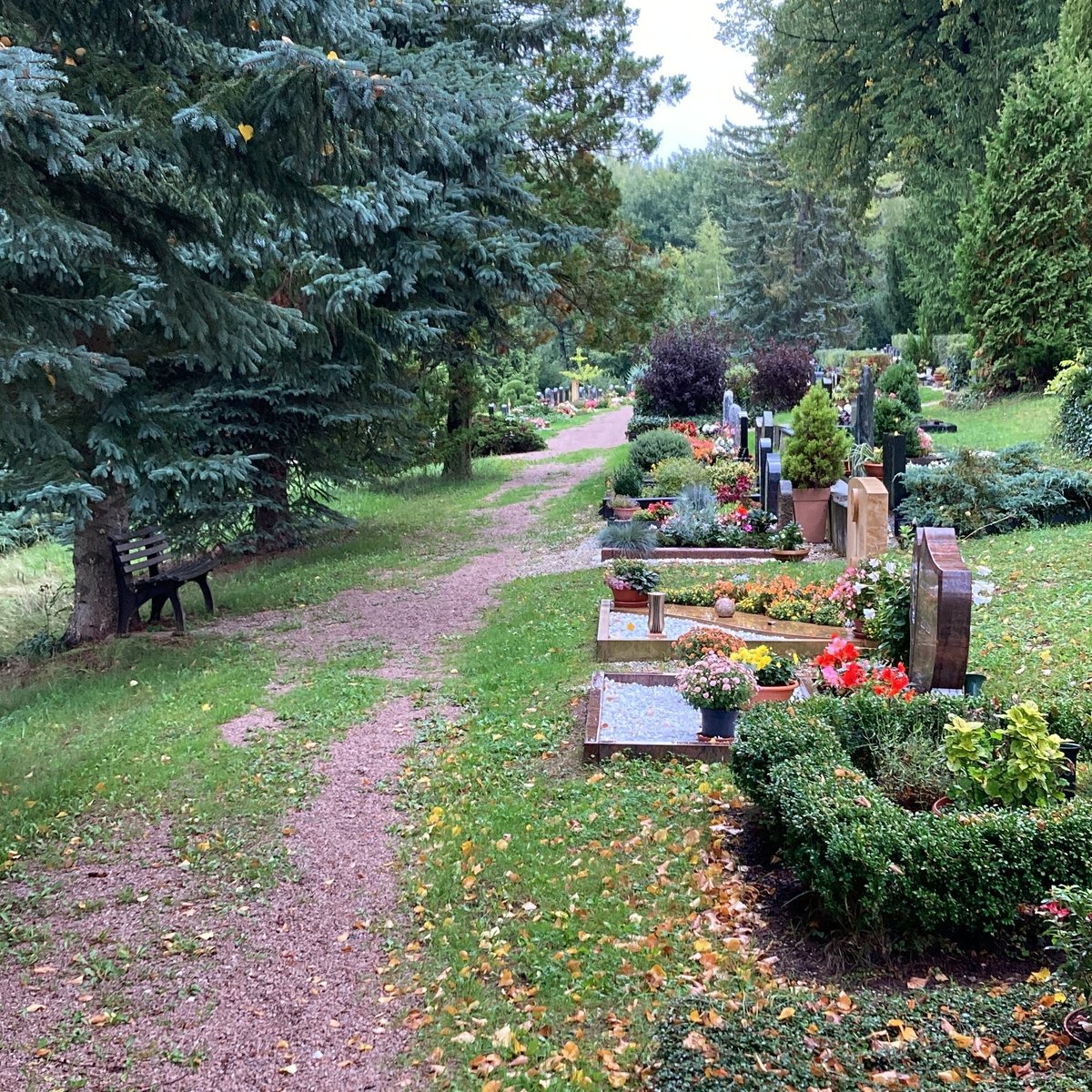 FRIEDHOF REINSDORF (2025) All You MUST Know Before You Go (w/ Reviews)