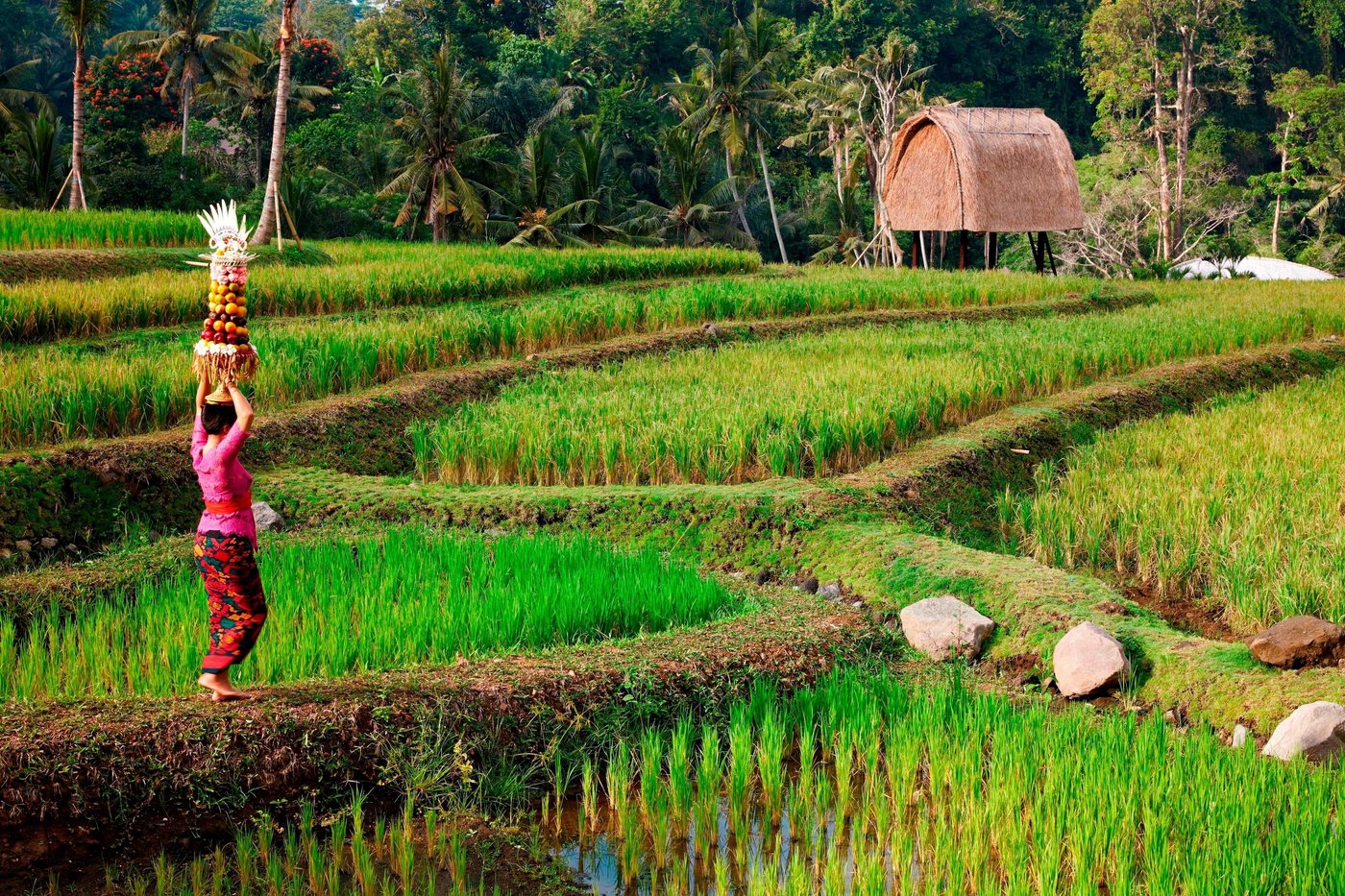 mandapa-a-ritz-carlton-reserve-bali-indonesia-resort-reviews