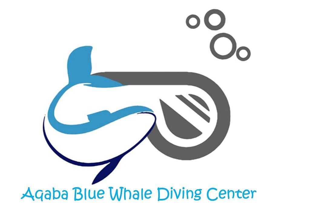 Aqaba Blue Whale Diving Center - All You Need to Know BEFORE You Go