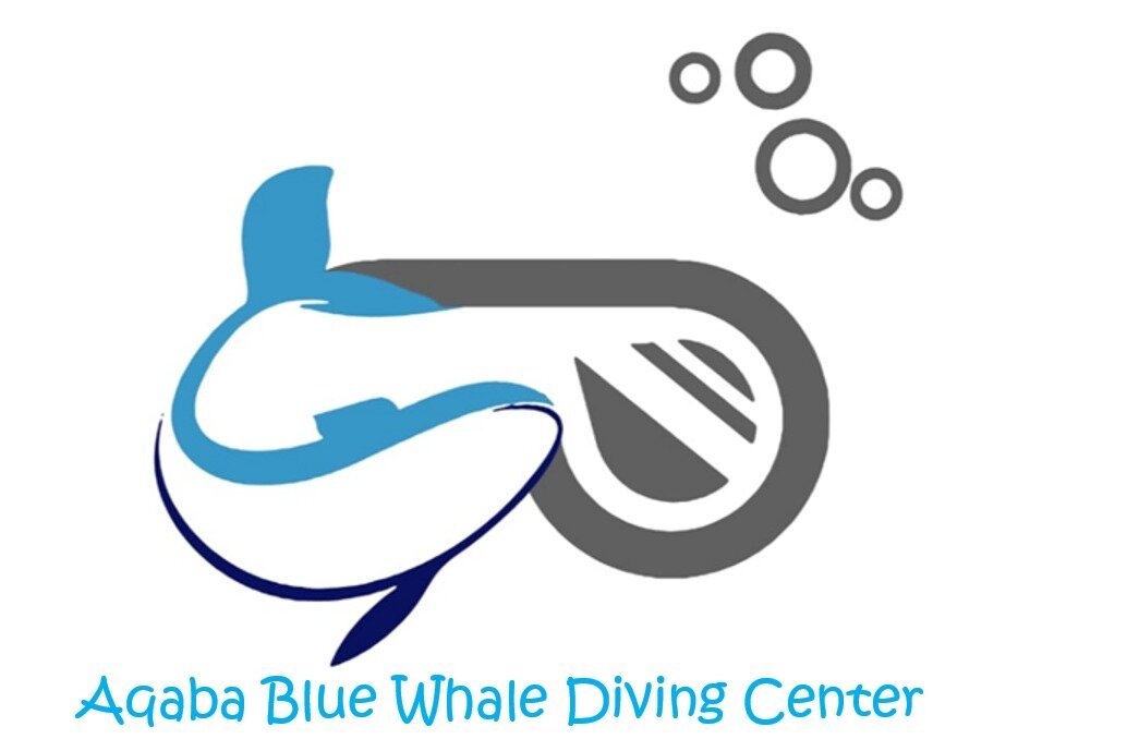 Aqaba Blue Whale Diving Center - All You Need to Know BEFORE You Go