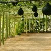 Le Potager Extraordinaire