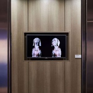 The Art Hotel Denver, Curio Collection by Hilton, hotel in Denver