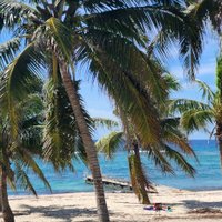 Spotts Beach (grand Cayman) - All You Need To Know Before You Go