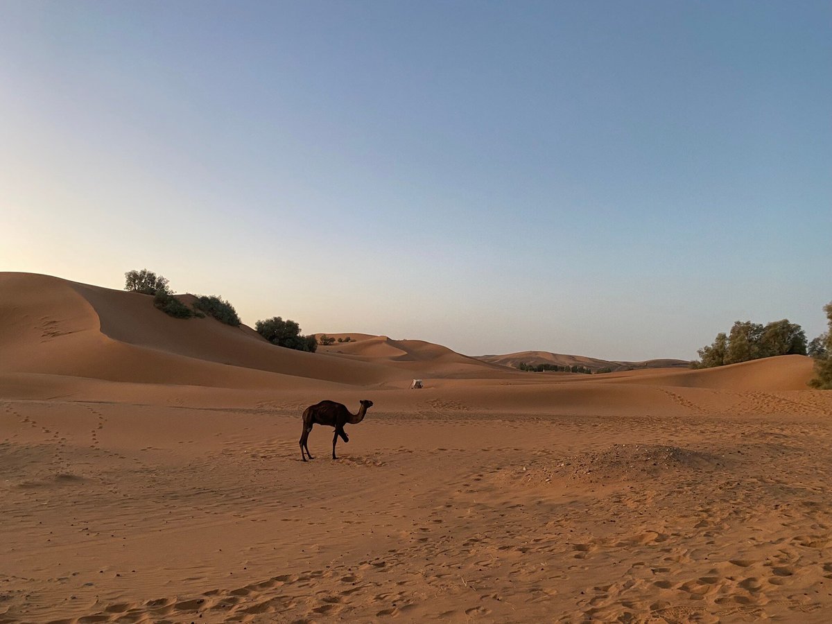 KHAMLIA TOUR (Merzouga) - All You Need to Know BEFORE You Go