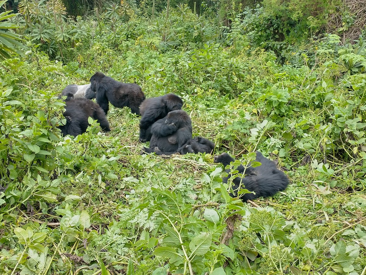 DU TOURS AFRICA (Gisenyi) 2023 Qué saber antes de ir Lo más