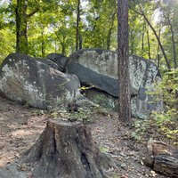 Big Rock Nature Preserve - All You Need to Know BEFORE You Go (2024)