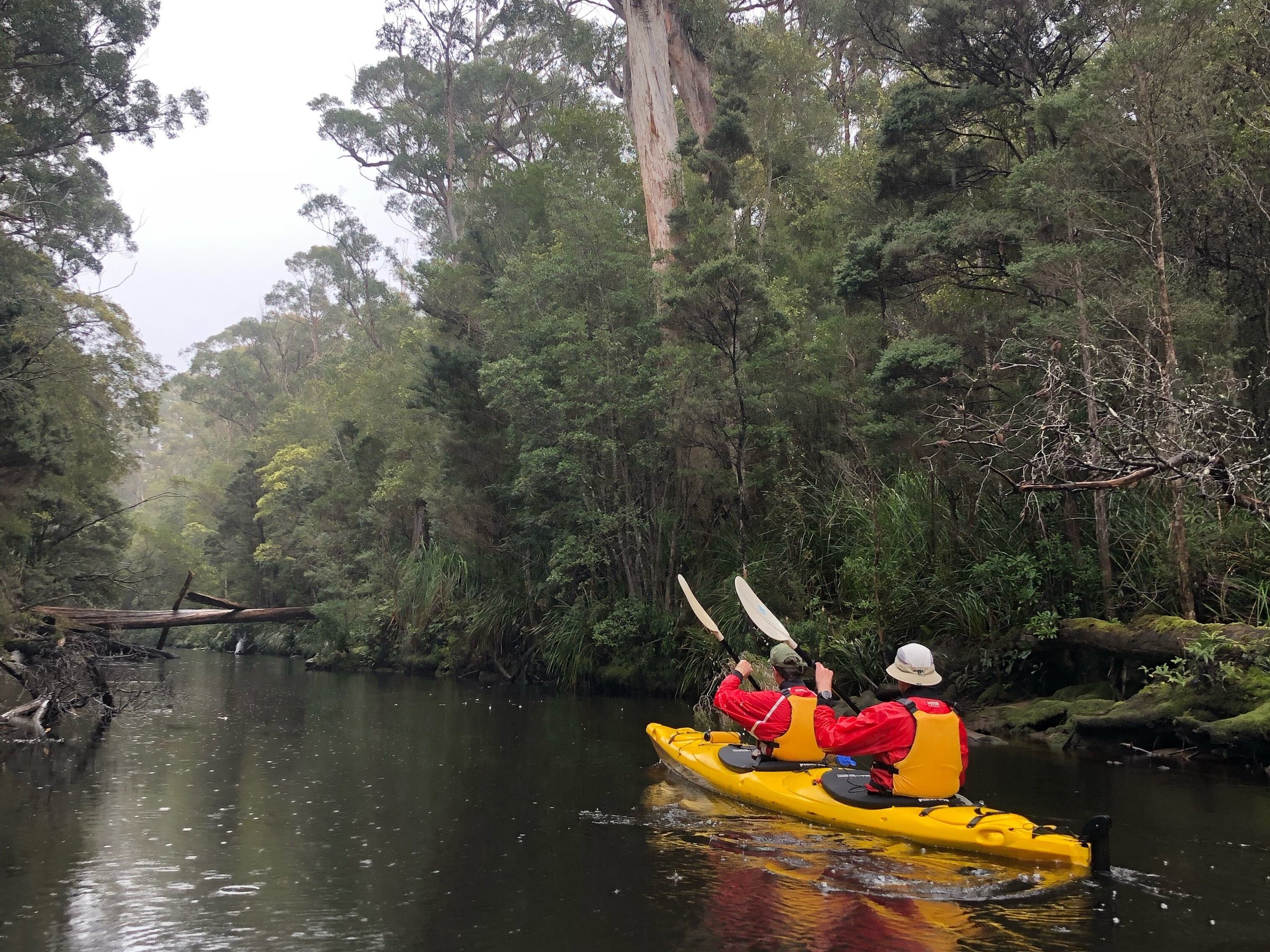 Esperance Adventures (Dover) - All You Need to Know BEFORE You Go