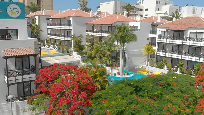 amplificación Facultad Mártir VANILLA GARDEN HOTEL - Ahora 108 € (antes 1̶8̶0̶ ̶€̶) - opiniones,  comparación de precios y fotos del hotel - Tenerife - Tripadvisor