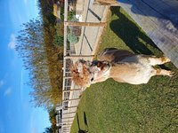 FILEY BIRD GARDEN & ANIMAL PARK - All You Need to Know BEFORE You Go FILEY BIRD GARDEN & ANIMAL PARK - All You Need to Know BEFORE You Go