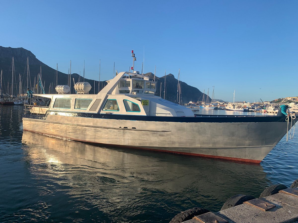 hout bay harbour boat trips