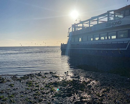 eiland safari tour vlieland