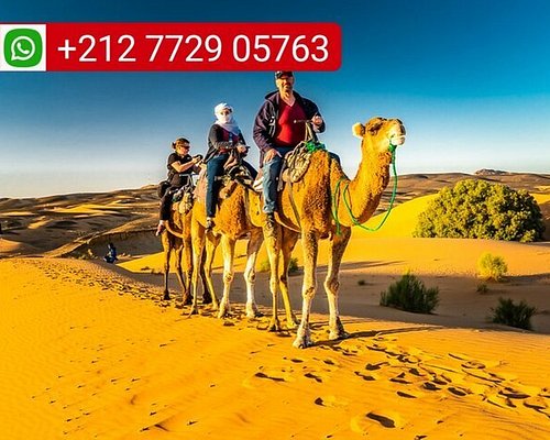 private guided tours morocco