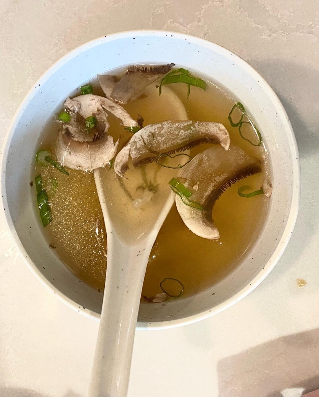 Sakura Garden Japanese Steakhouse, South Windsor - 레스토랑 리뷰 - 트립어드바이저