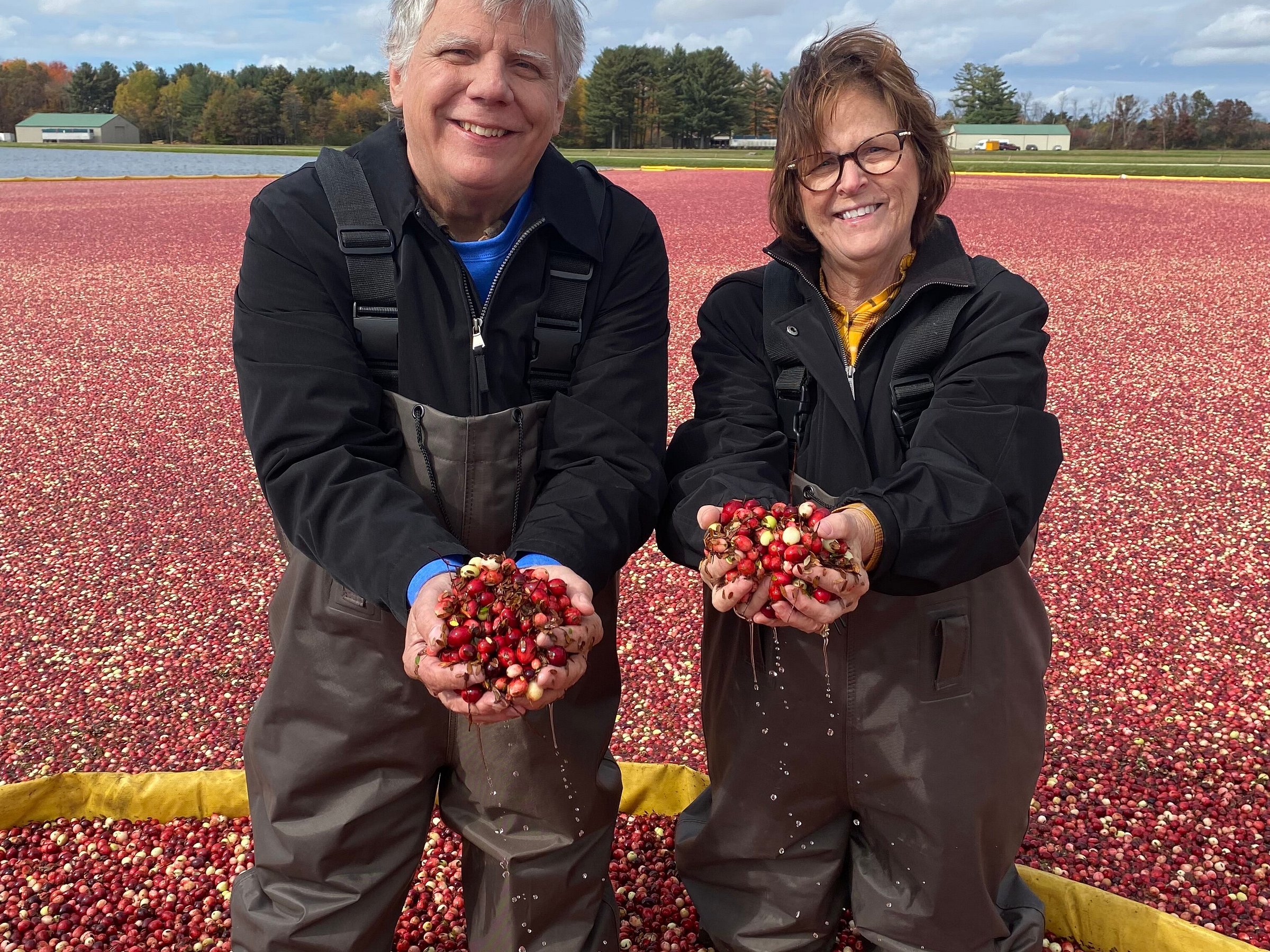 Rooted In Red Cranberry Tours in Wisconsin (Wisconsin Rapids) All You