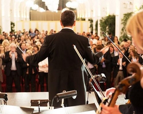 Concertos e Jantares de Música Clássica em Viena - Hellotickets