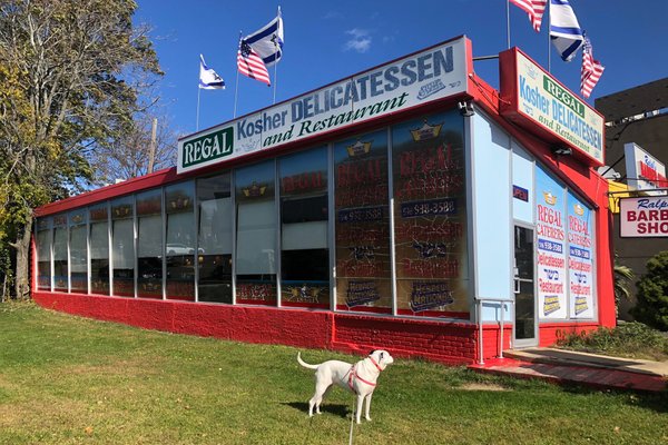 los perros son kosher para comer