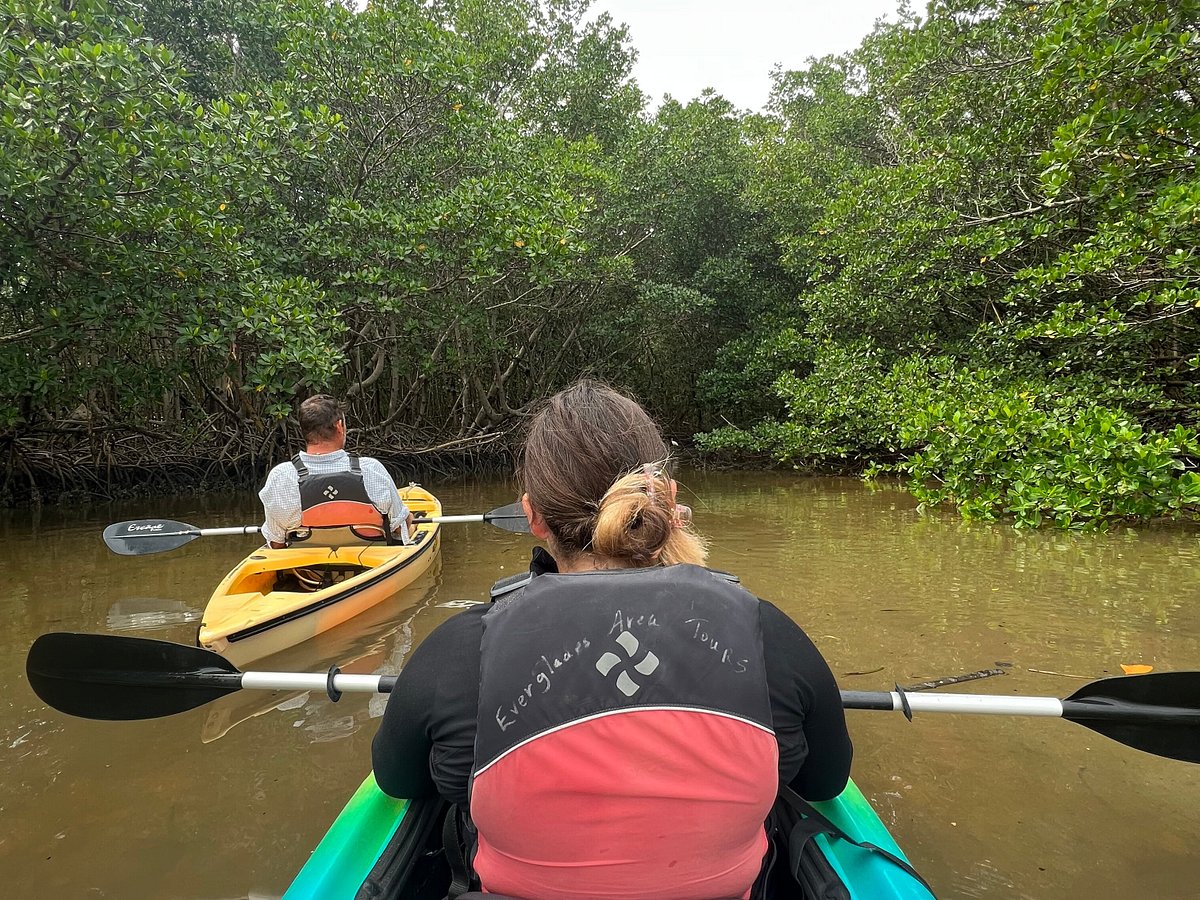 everglades boat tours chokoloskee fl