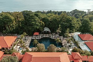 Bathtub with rose petals - Picture of Resorts World Sentosa - Equarius  Hotel, Sentosa Island - Tripadvisor