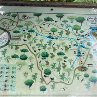 Colo-I-Suva Forest Park - All You Need to Know BEFORE You Go