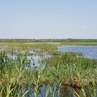 Anahuac National Wildlife Refuge - All You Need to Know BEFORE You Go