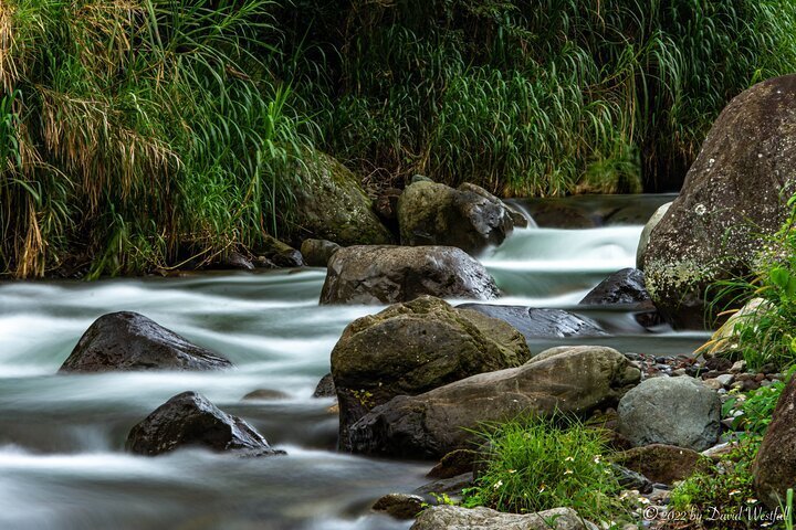 2024 Boquete Panoramic Tour Provided By CLOUDFOREST TRAVEL